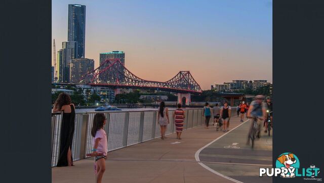 ID:21154291 38 Skyring Terrace Teneriffe QLD 4005
