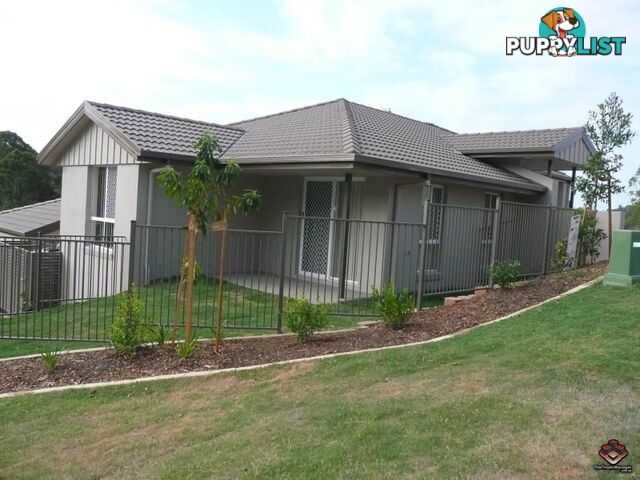 Upper Coomera qld 4209