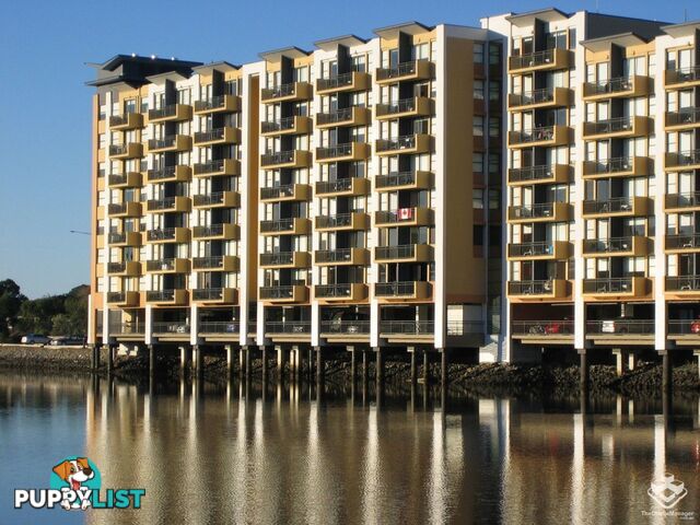 ID:21152233 25 Lake Orr Drive Robina QLD 4226