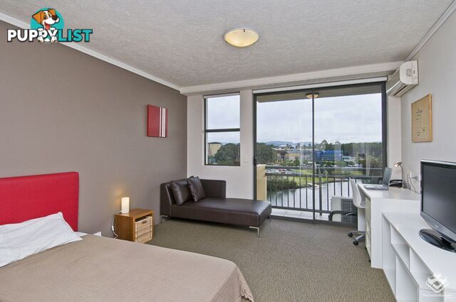 ID:21152233 25 Lake Orr Drive Robina QLD 4226