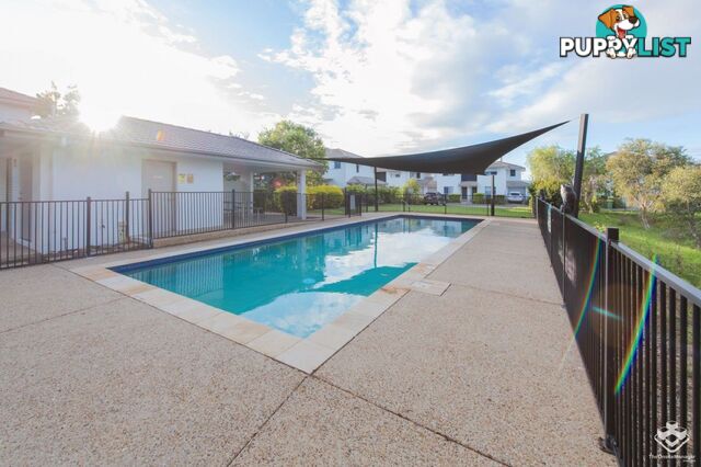 Unit 63/51 River Road Bundamba QLD 4304