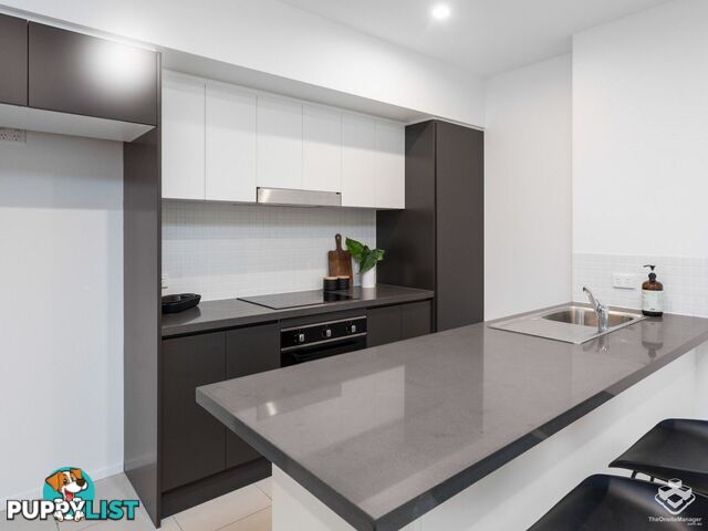 ID:21151411 8 Holden Street Woolloongabba QLD 4102