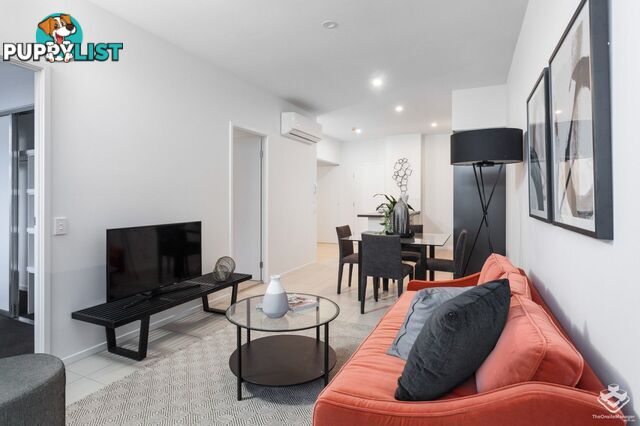 ID:21151411 8 Holden Street Woolloongabba QLD 4102