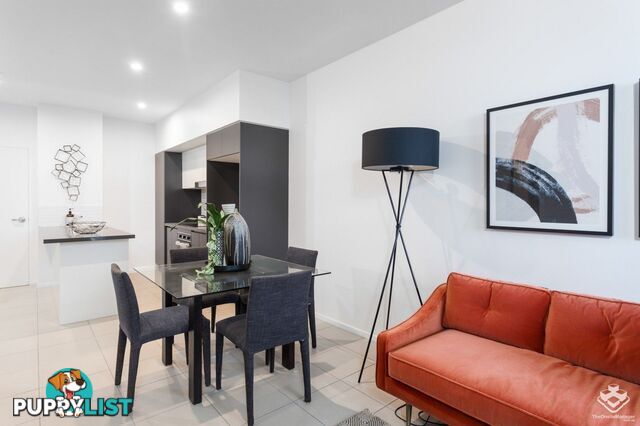 ID:21151411 8 Holden Street Woolloongabba QLD 4102