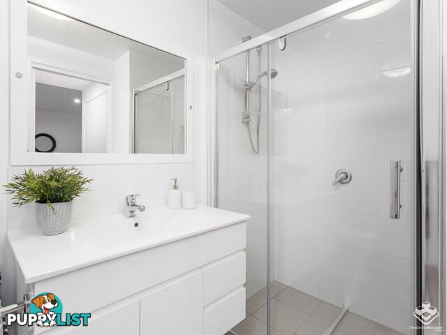 ID:21151411 8 Holden Street Woolloongabba QLD 4102