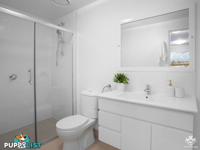 ID:21151411 8 Holden Street Woolloongabba QLD 4102