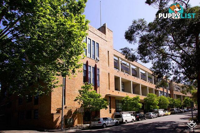 522/357 Glenmore Road Paddington NSW 2021
