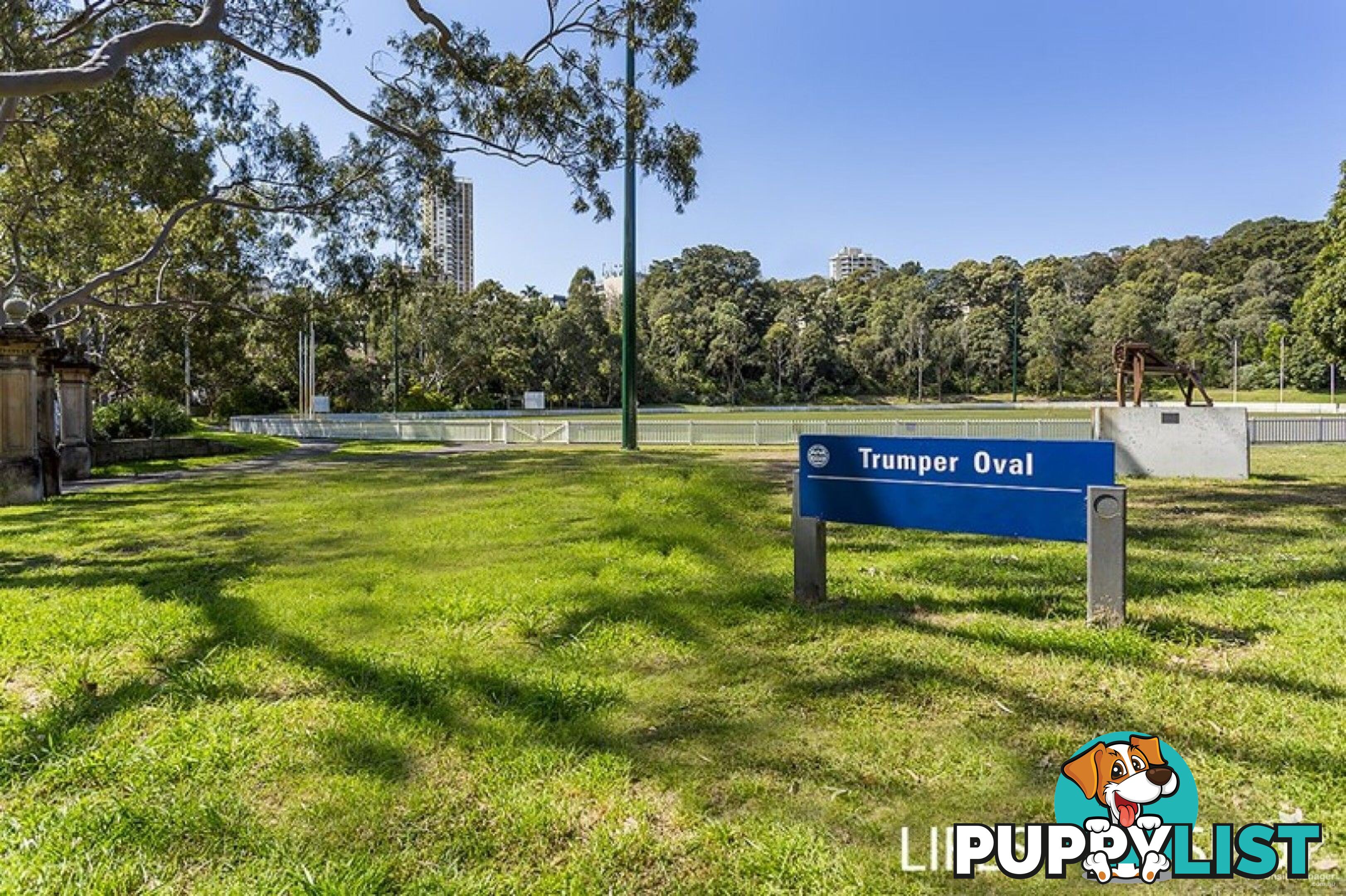 522/357 Glenmore Road Paddington NSW 2021