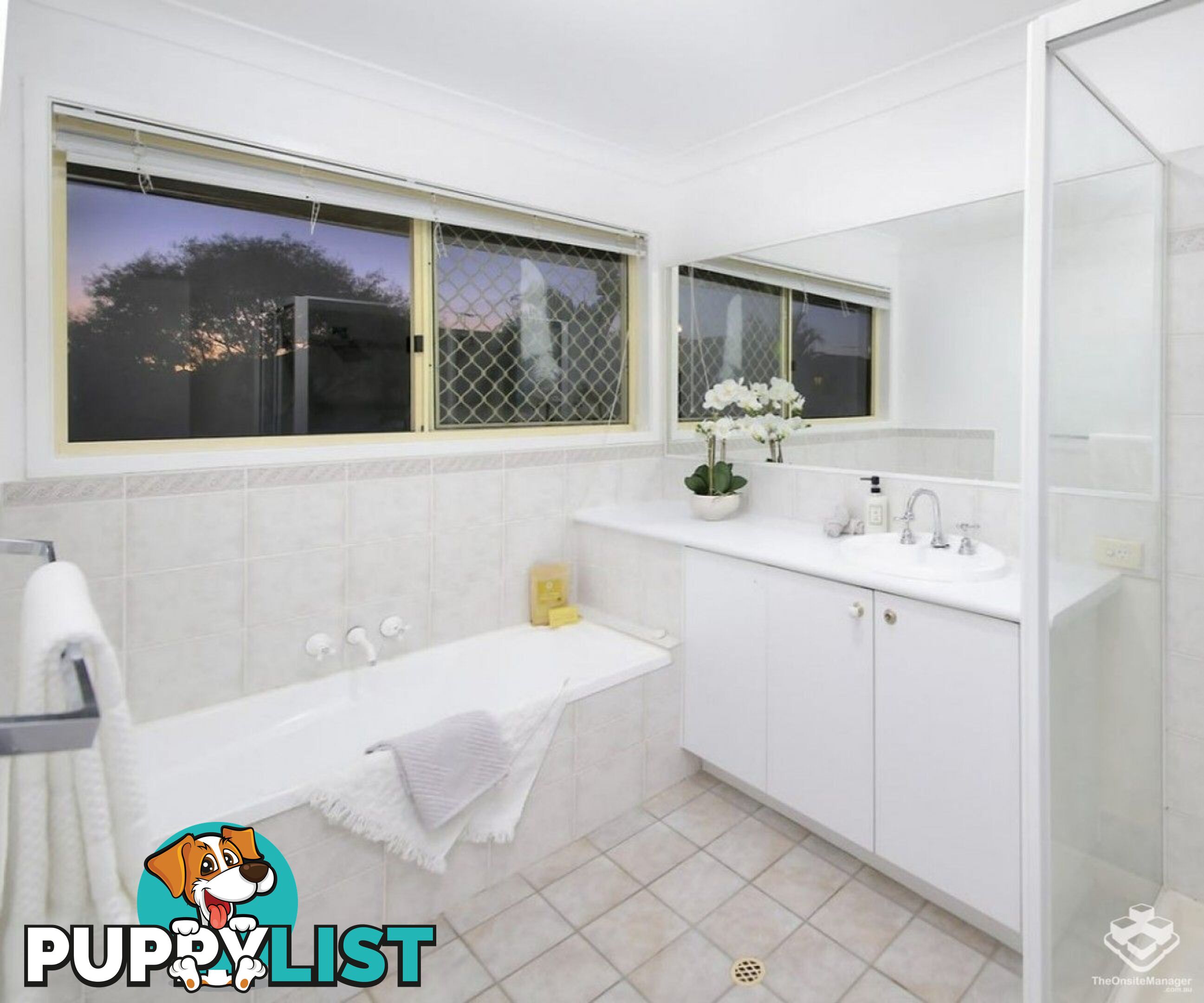 62 Park Avenue Sunnybank Hills QLD 4109