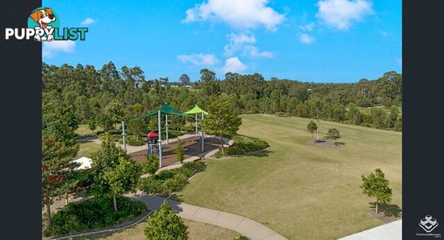 ID:21154690 5 Kingsdale Avenue Thornlands QLD 4164