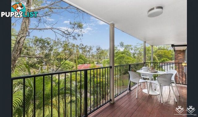 1 Lant Street Chapel Hill QLD 4069