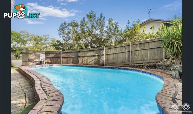 1 Lant Street Chapel Hill QLD 4069