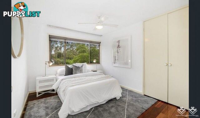 1 Lant Street Chapel Hill QLD 4069