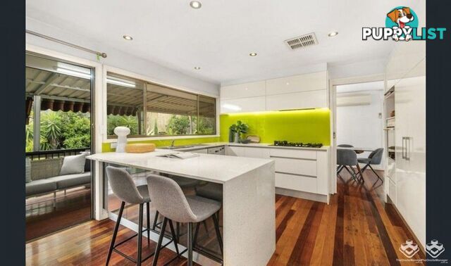1 Lant Street Chapel Hill QLD 4069