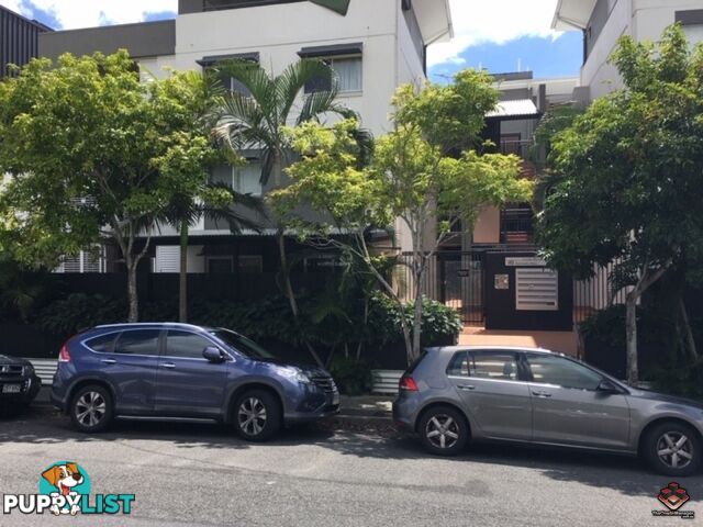 ID:3881261/40 Chermside Street Teneriffe QLD 4005