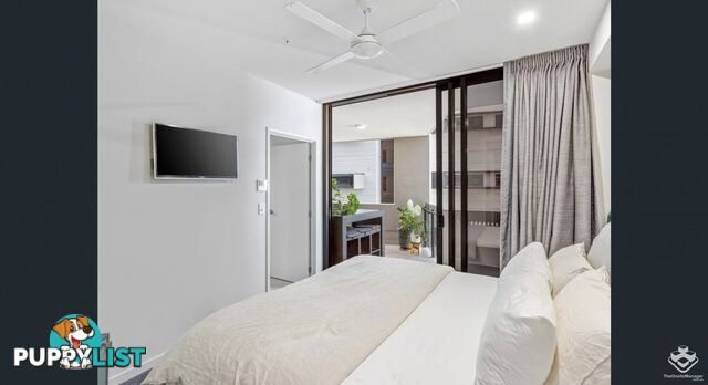 ID:21154632 27 Commercial Road Newstead QLD 4006