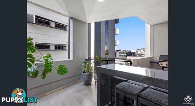 ID:21154632 27 Commercial Road Newstead QLD 4006