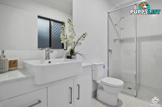 13 Monarch Avenue Bentley Park QLD 4869