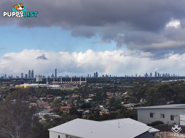 ID:21116575 34 John Francis Drive Carrara QLD 4211