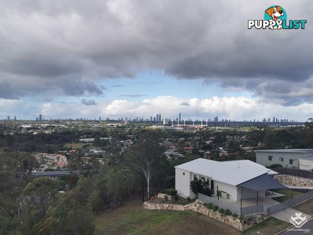ID:21116575 34 John Francis Drive Carrara QLD 4211