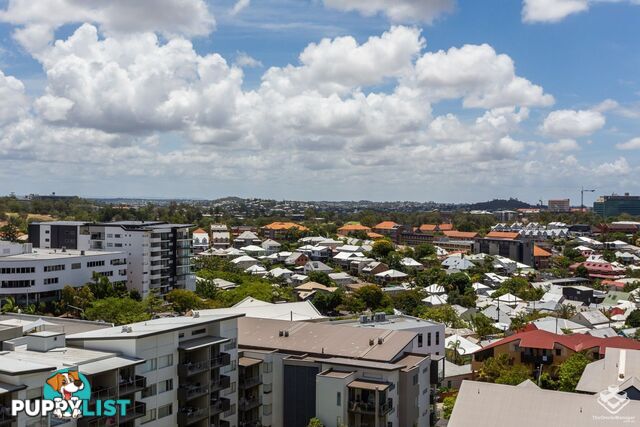 ID:21153911 170 Leichhardt Street Spring Hill QLD 4000