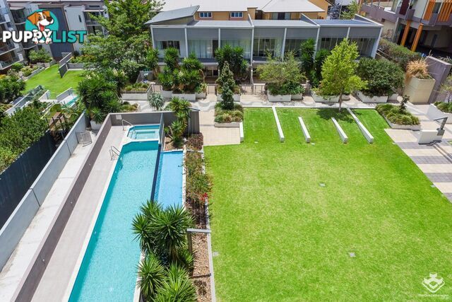 ID:21153911 170 Leichhardt Street Spring Hill QLD 4000