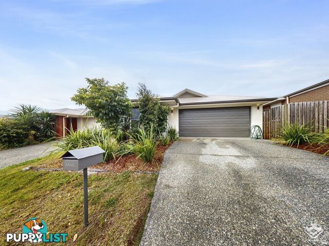 14 Angus Court Park Ridge QLD 4125