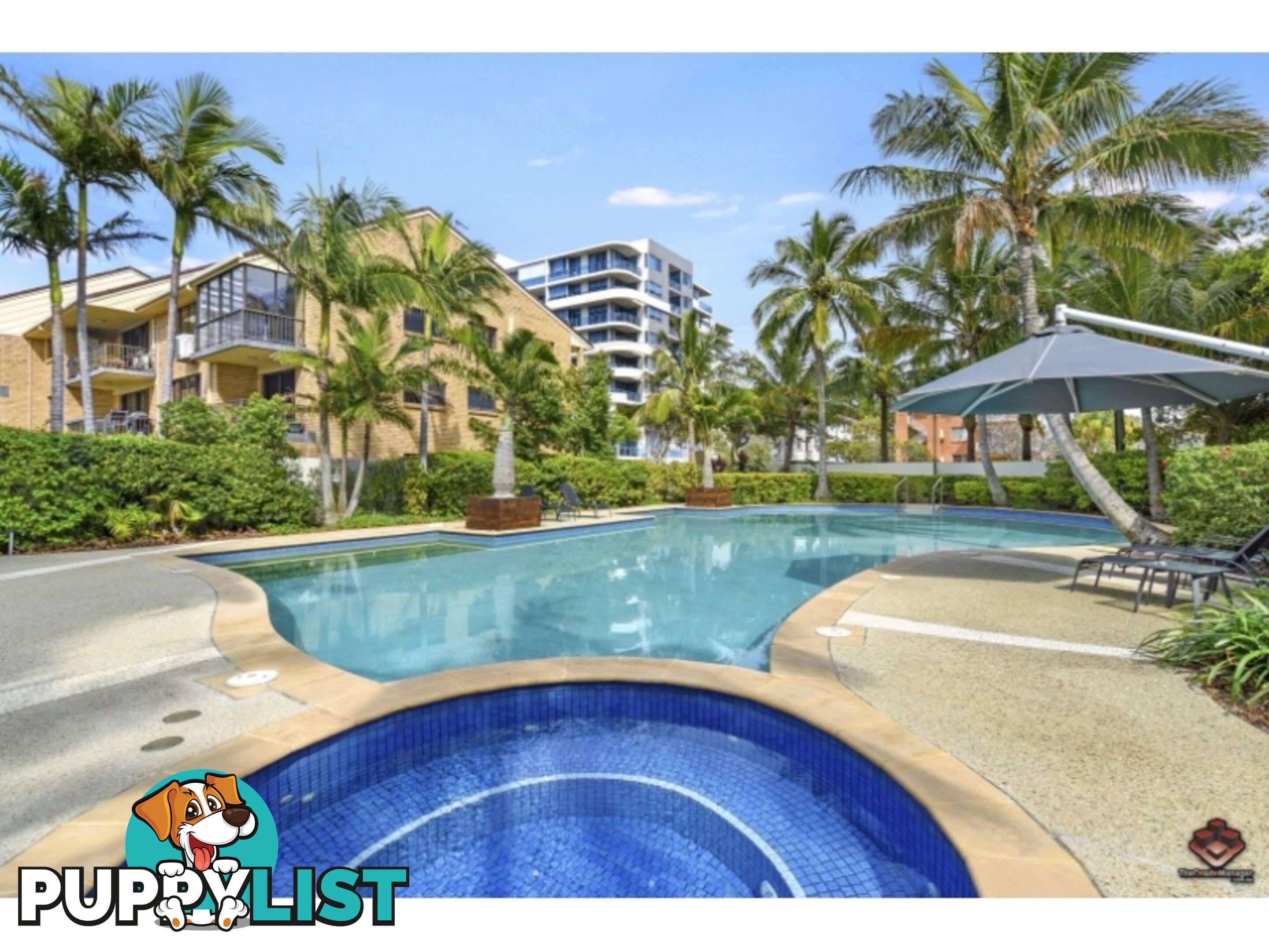 ID:21140783/ 326 Marine Parade Labrador QLD 4215