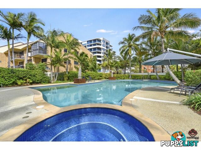 ID:21140783/ 326 Marine Parade Labrador QLD 4215