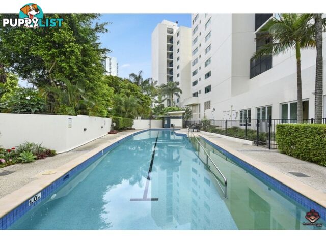 ID:21140783/ 326 Marine Parade Labrador QLD 4215