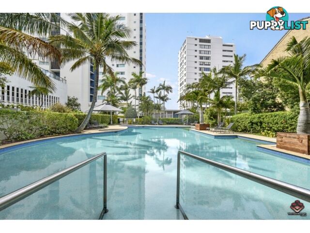 ID:21140783/ 326 Marine Parade Labrador QLD 4215