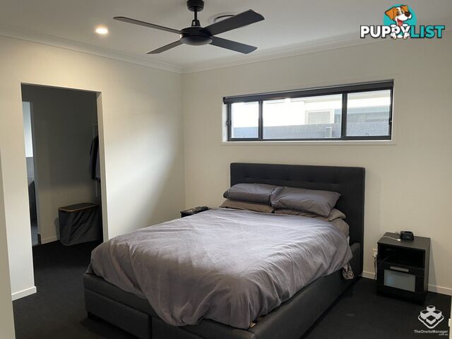 18 Blythe Street Palmview QLD 4553