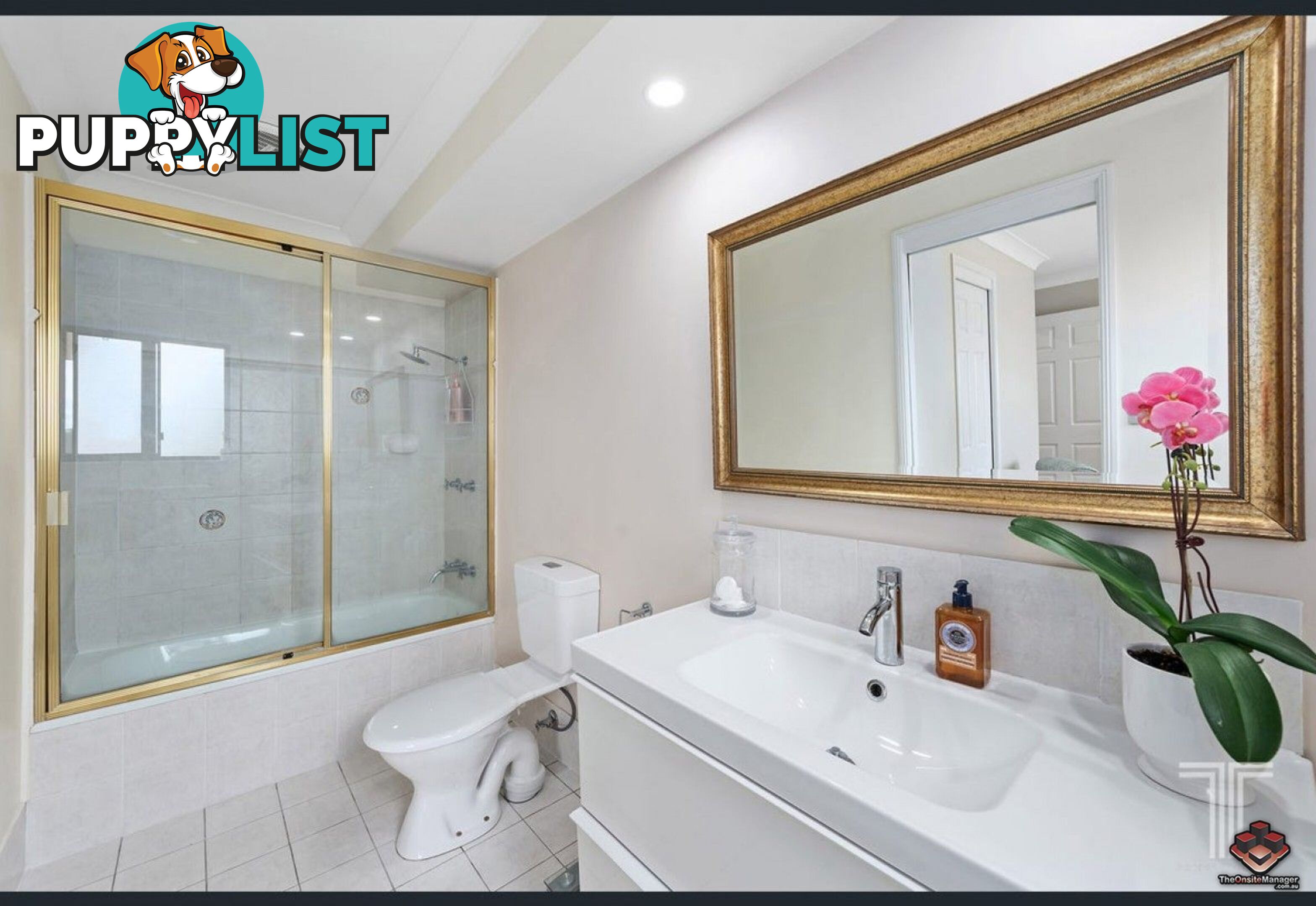 102 Cribb Road Carindale QLD 4152