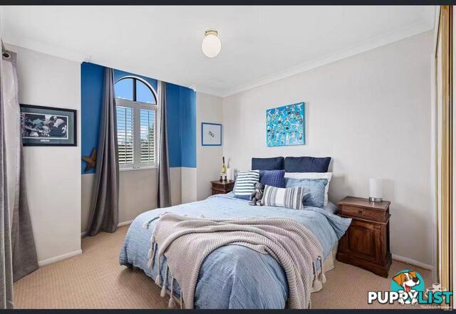 102 Cribb Road Carindale QLD 4152