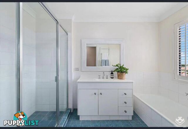 102 Cribb Road Carindale QLD 4152