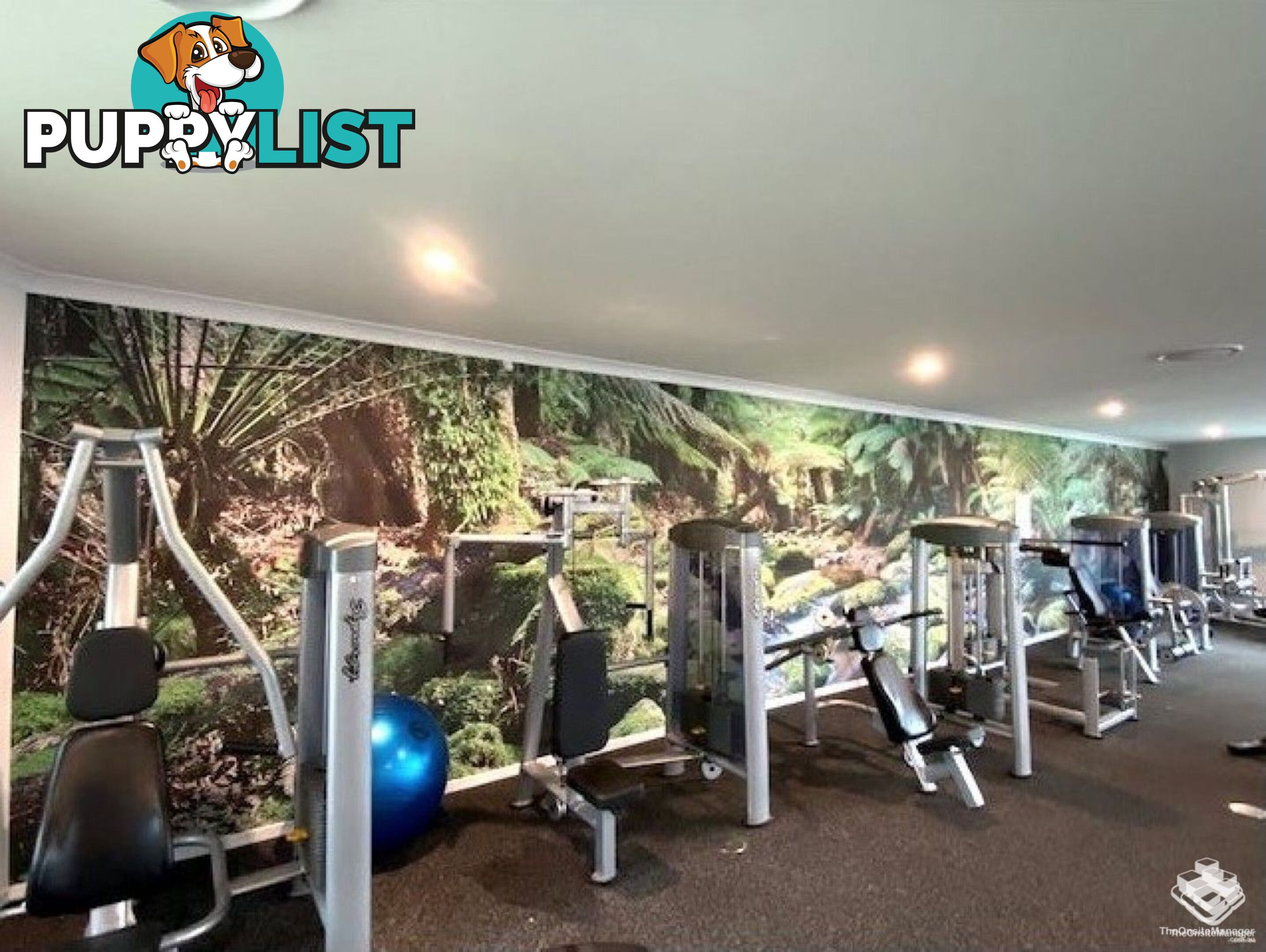 ID:21154150 154 Musgrave Avenue Southport QLD 4215