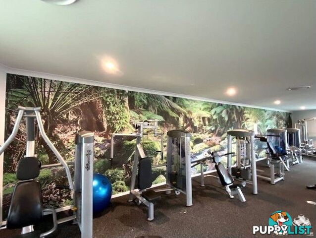 ID:21154150 154 Musgrave Avenue Southport QLD 4215