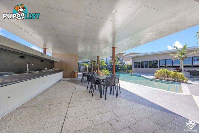 ID:21154150 154 Musgrave Avenue Southport QLD 4215