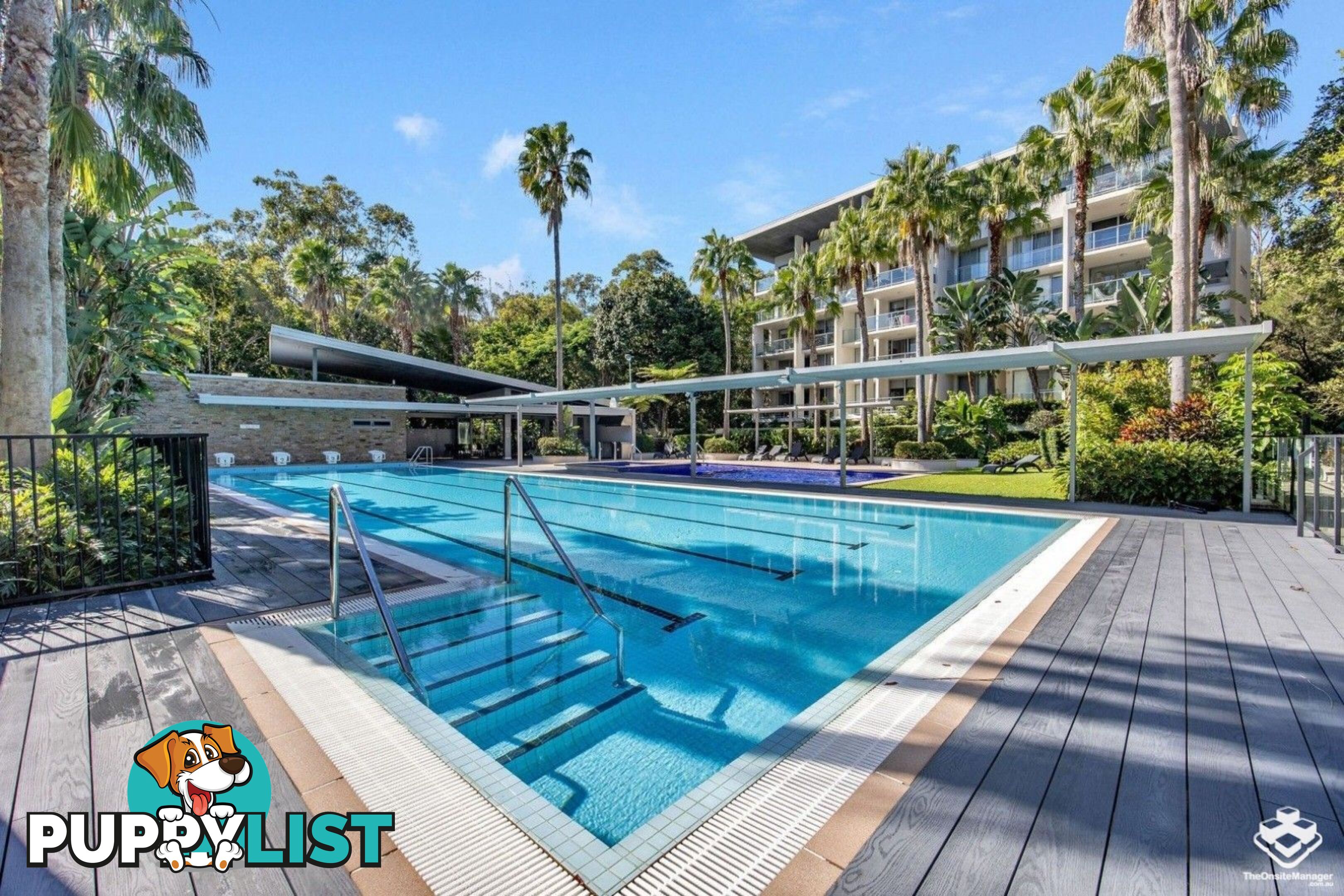 ID:21154150 154 Musgrave Avenue Southport QLD 4215