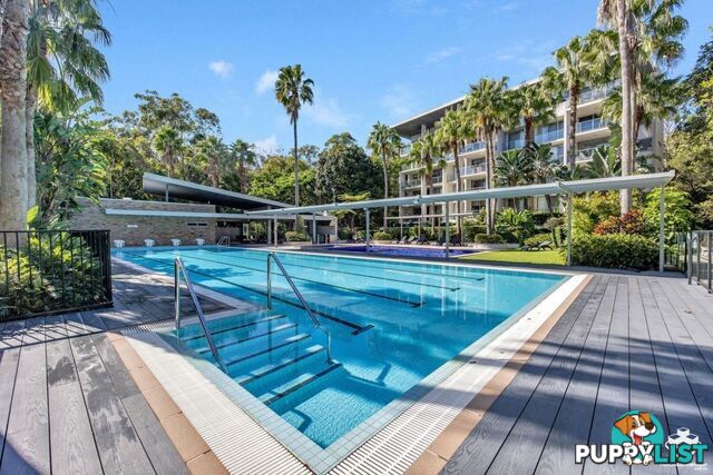 ID:21154150 154 Musgrave Avenue Southport QLD 4215