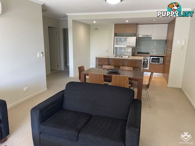 ID:21154150 154 Musgrave Avenue Southport QLD 4215