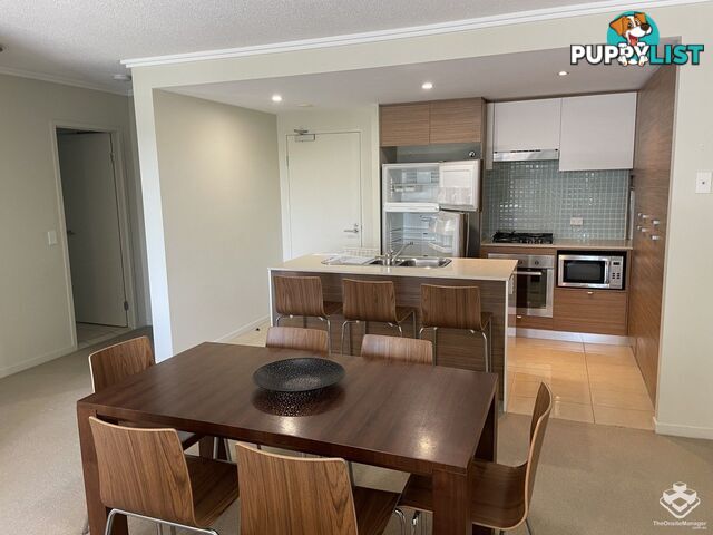 ID:21154150 154 Musgrave Avenue Southport QLD 4215