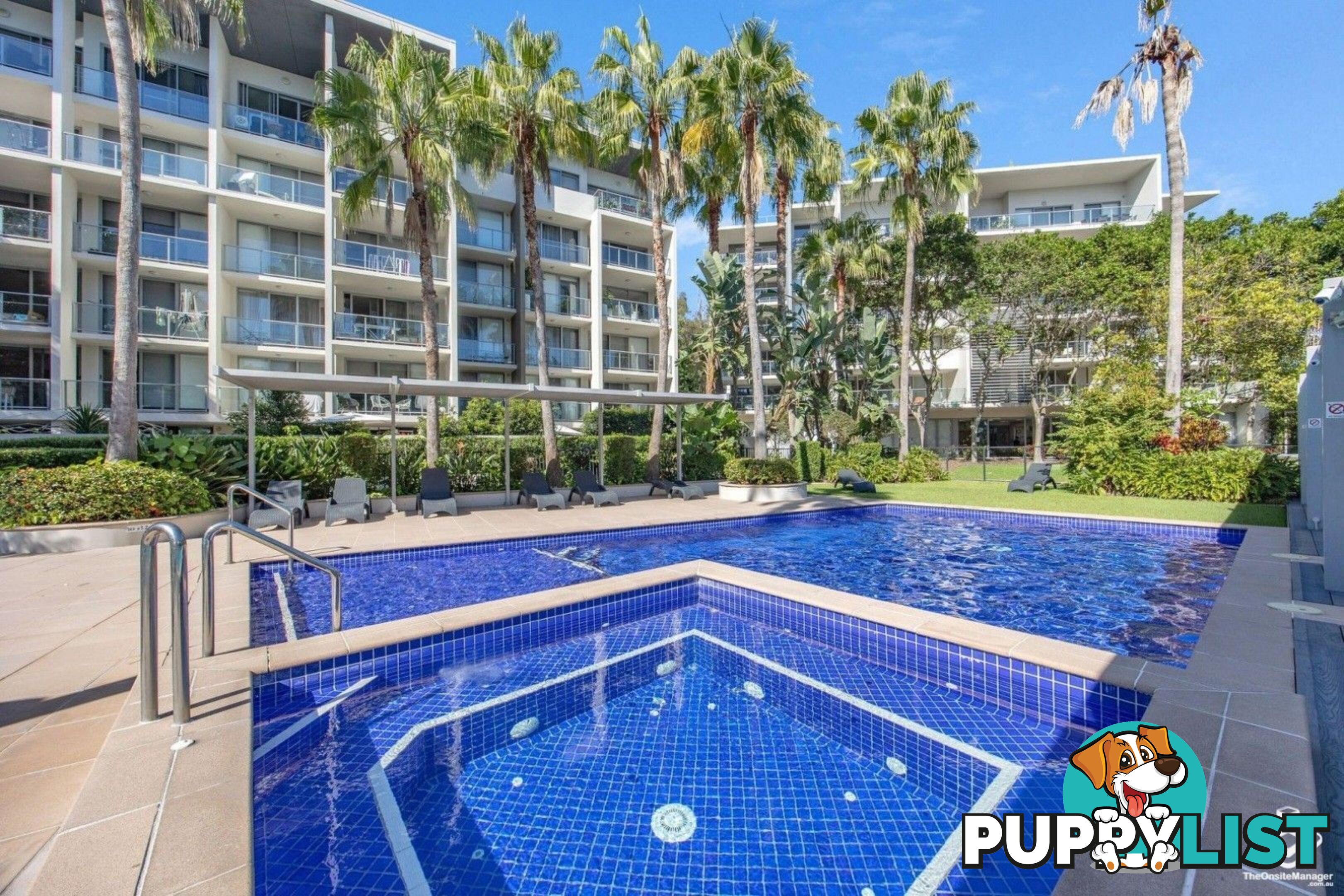 ID:21154150 154 Musgrave Avenue Southport QLD 4215