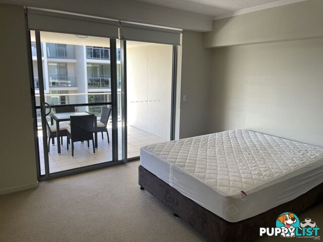 ID:21154150 154 Musgrave Avenue Southport QLD 4215