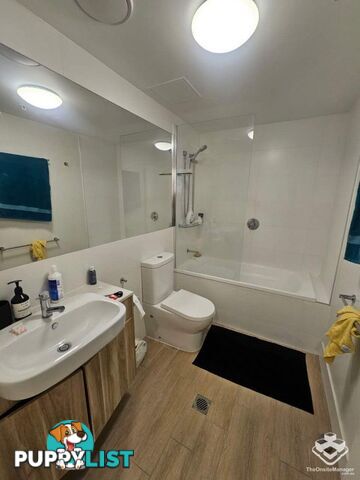 ID:21158122 37B Harbour Road Hamilton QLD 4007