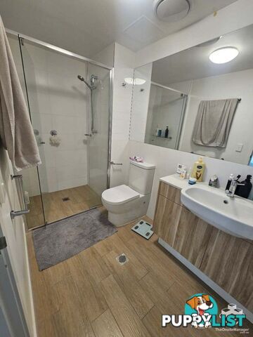 ID:21158122 37B Harbour Road Hamilton QLD 4007