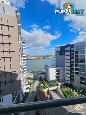 ID:21158122 37B Harbour Road Hamilton QLD 4007