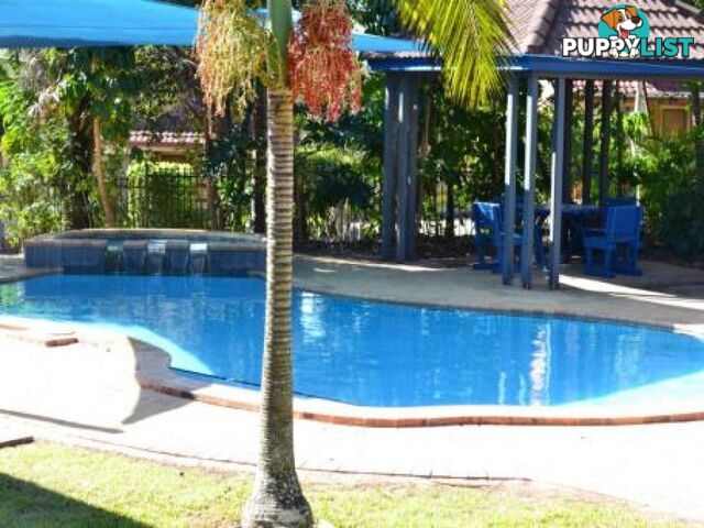 ID:21149802 10 Diamond Street Slacks Creek QLD 4127