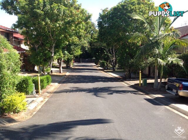ID:21149802 10 Diamond Street Slacks Creek QLD 4127