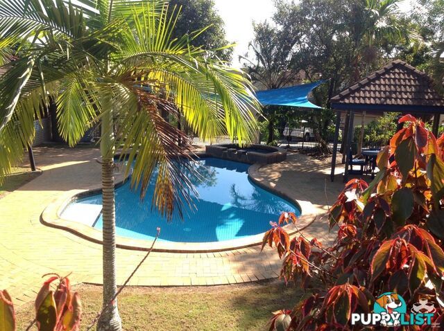 ID:21149802 10 Diamond Street Slacks Creek QLD 4127